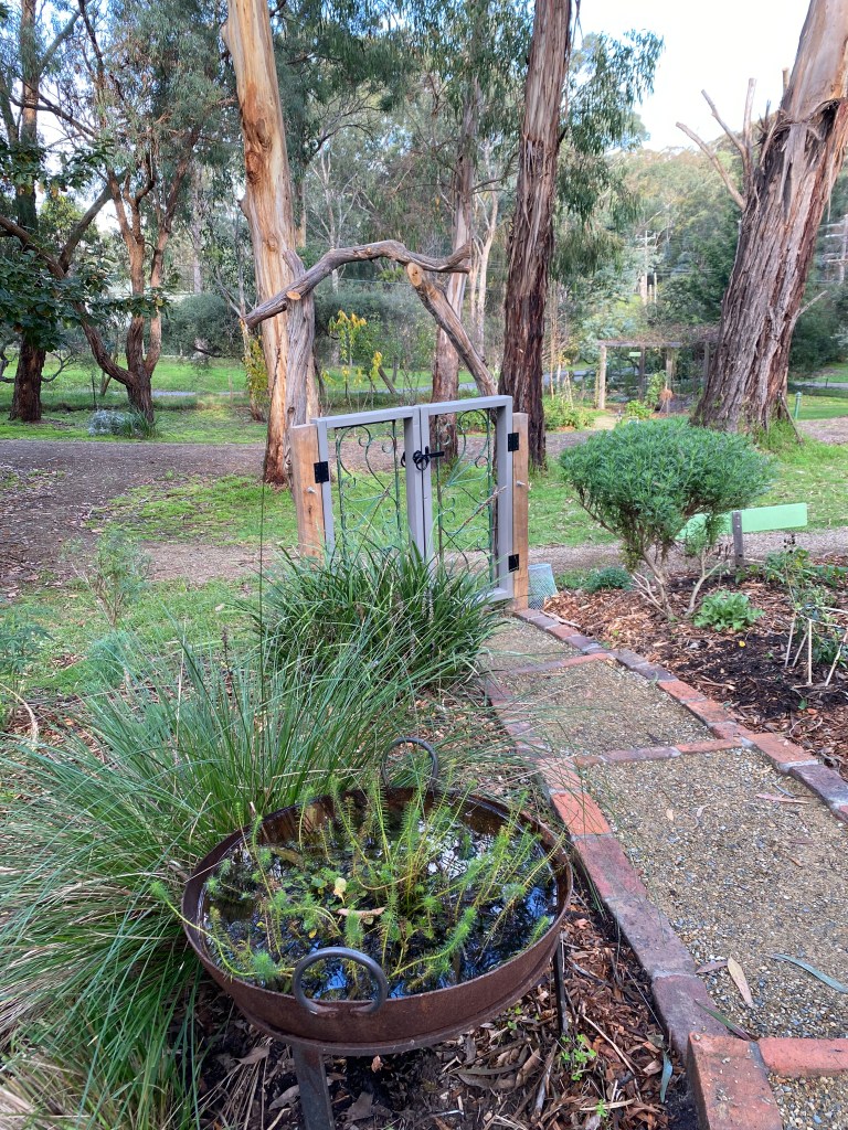 Perennial Update - Repurposed firepit and bricked step