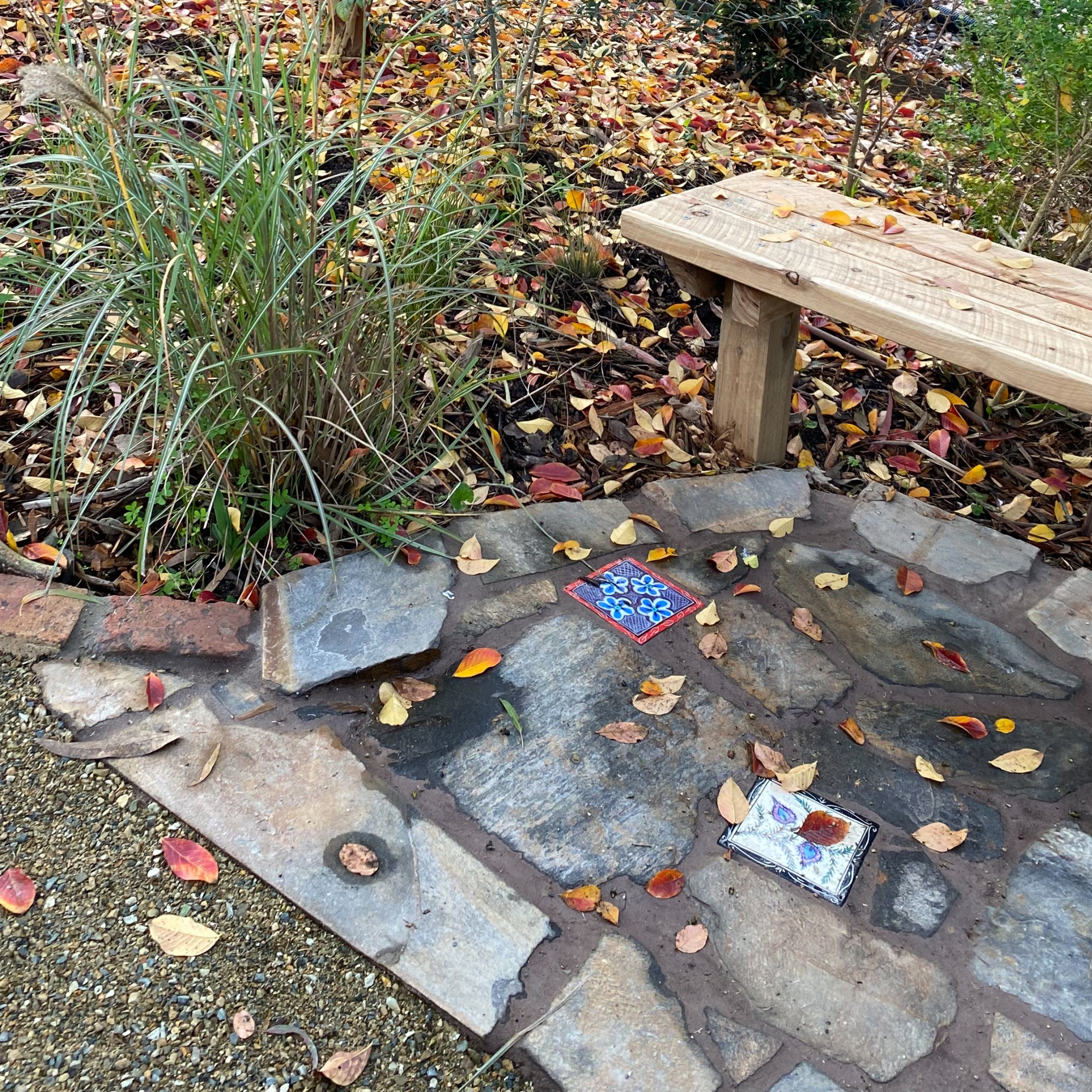 Perennial Update - Adam's Seat and Mary Lou Pittard Tiles