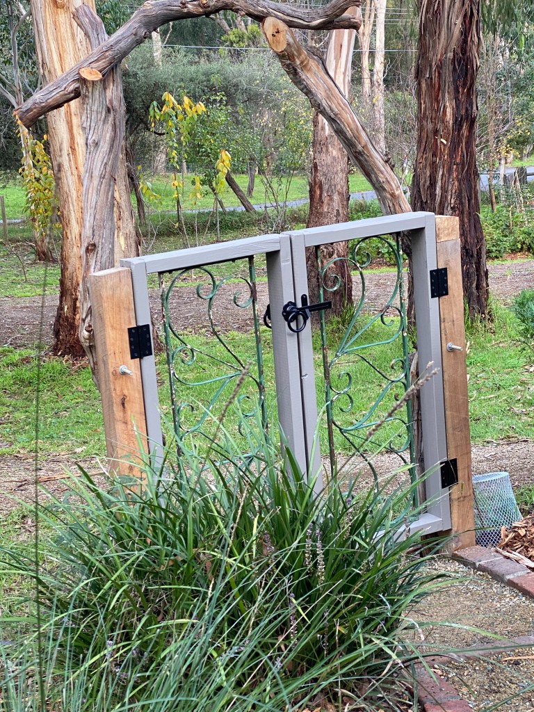 Perennial Update - Before the Rabbit proof fence