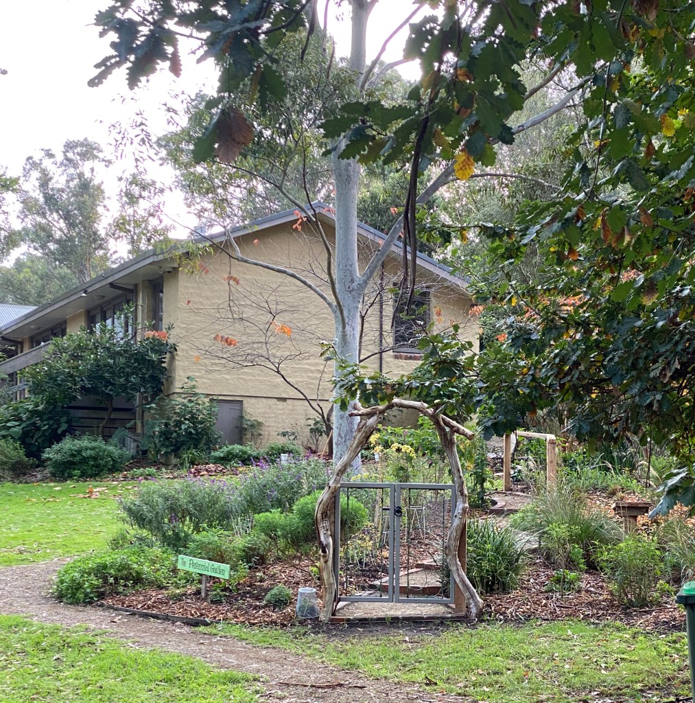 Perennial Update - Before the Rabbit proof fence