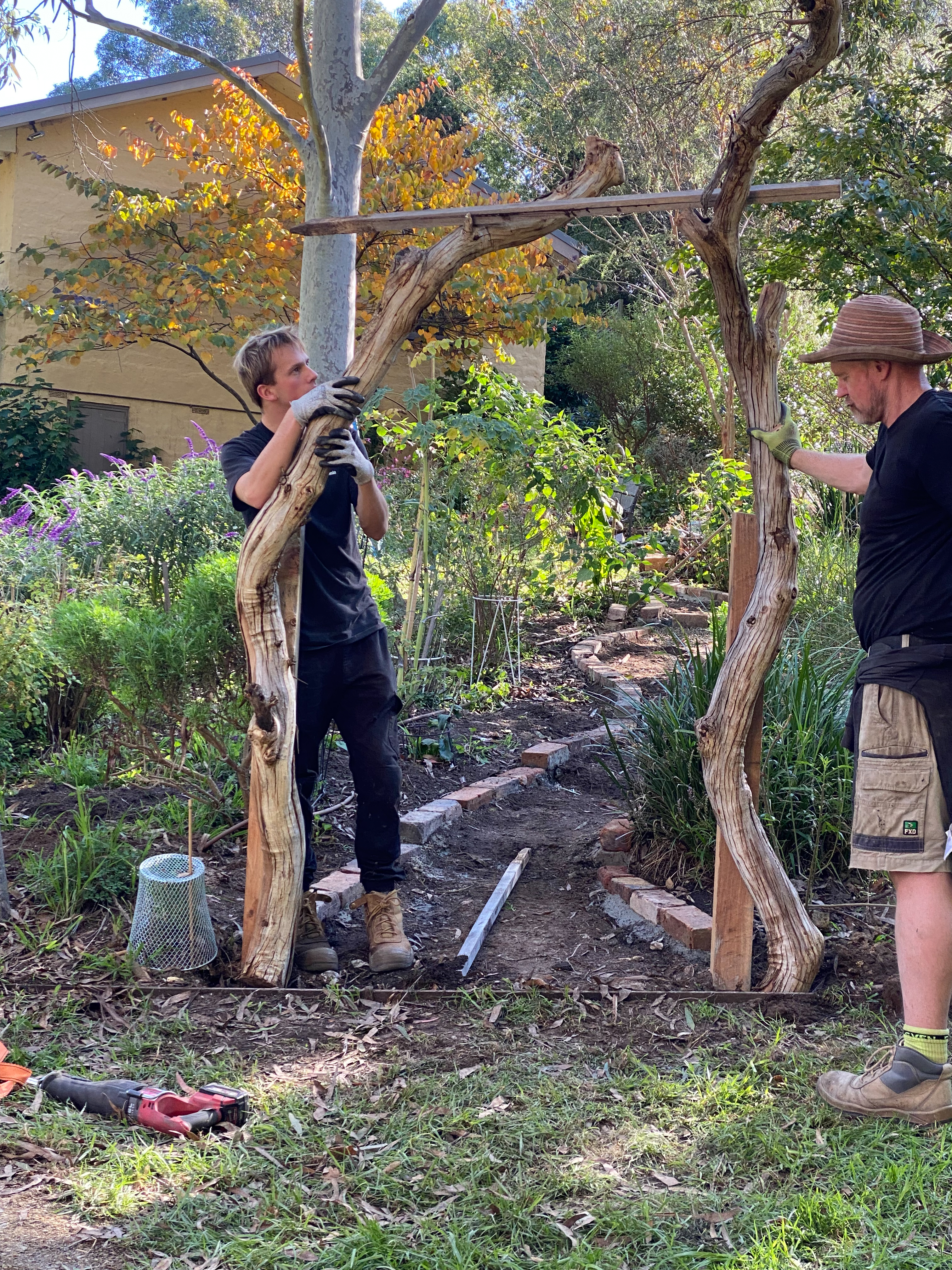 Perennial Update-Constructing the gate and the arch Adam and Alex
