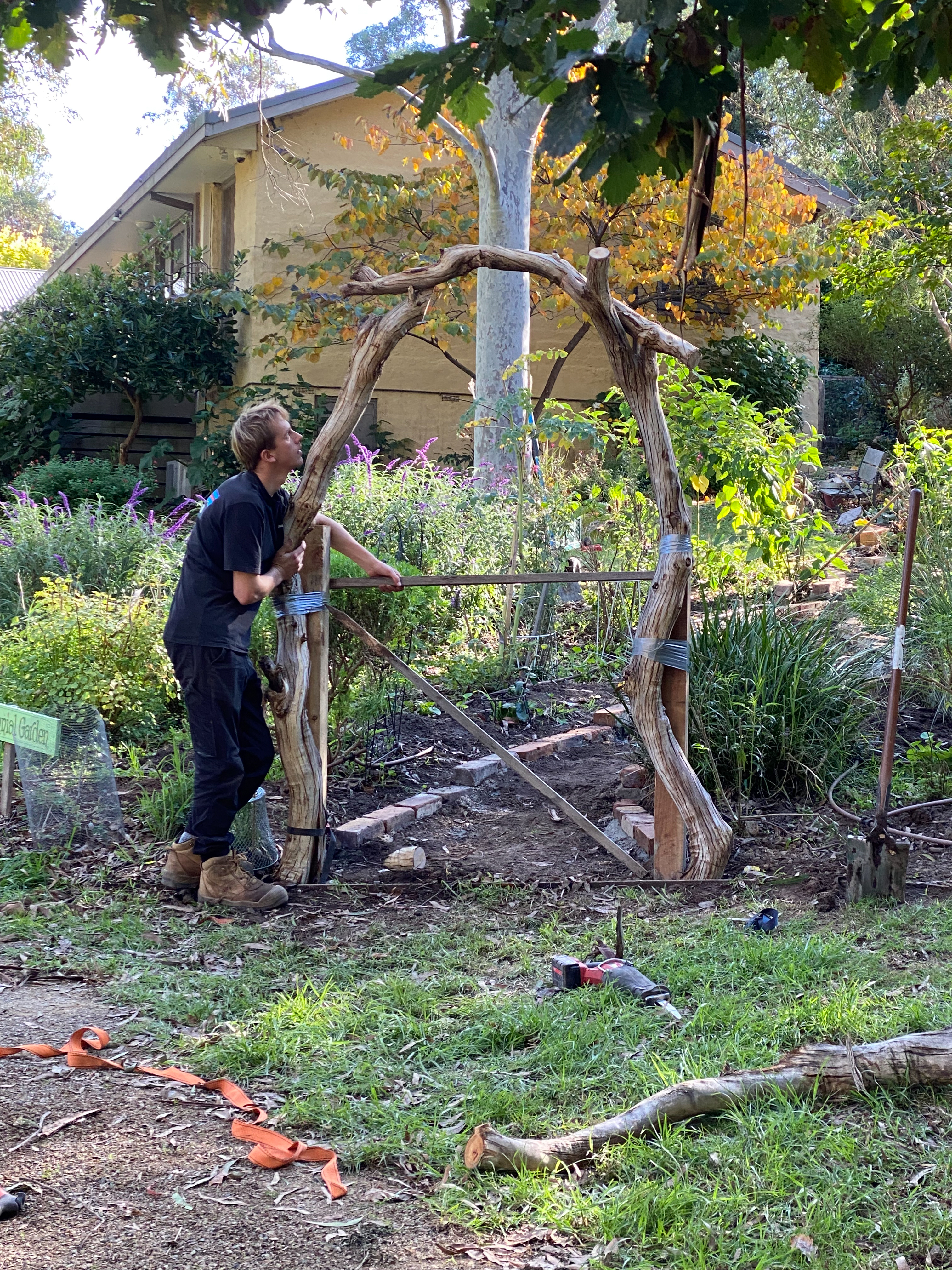 Perennial Update-Constructing the gate and the arch