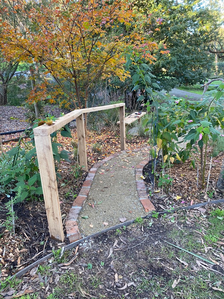 Perennial Update- Start of new path