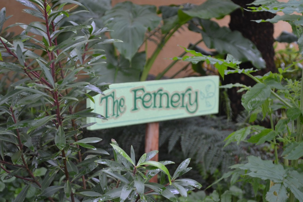 The Fernery is loving the moist climate