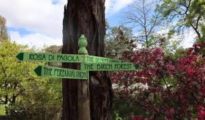 Uccello Lane - Signs