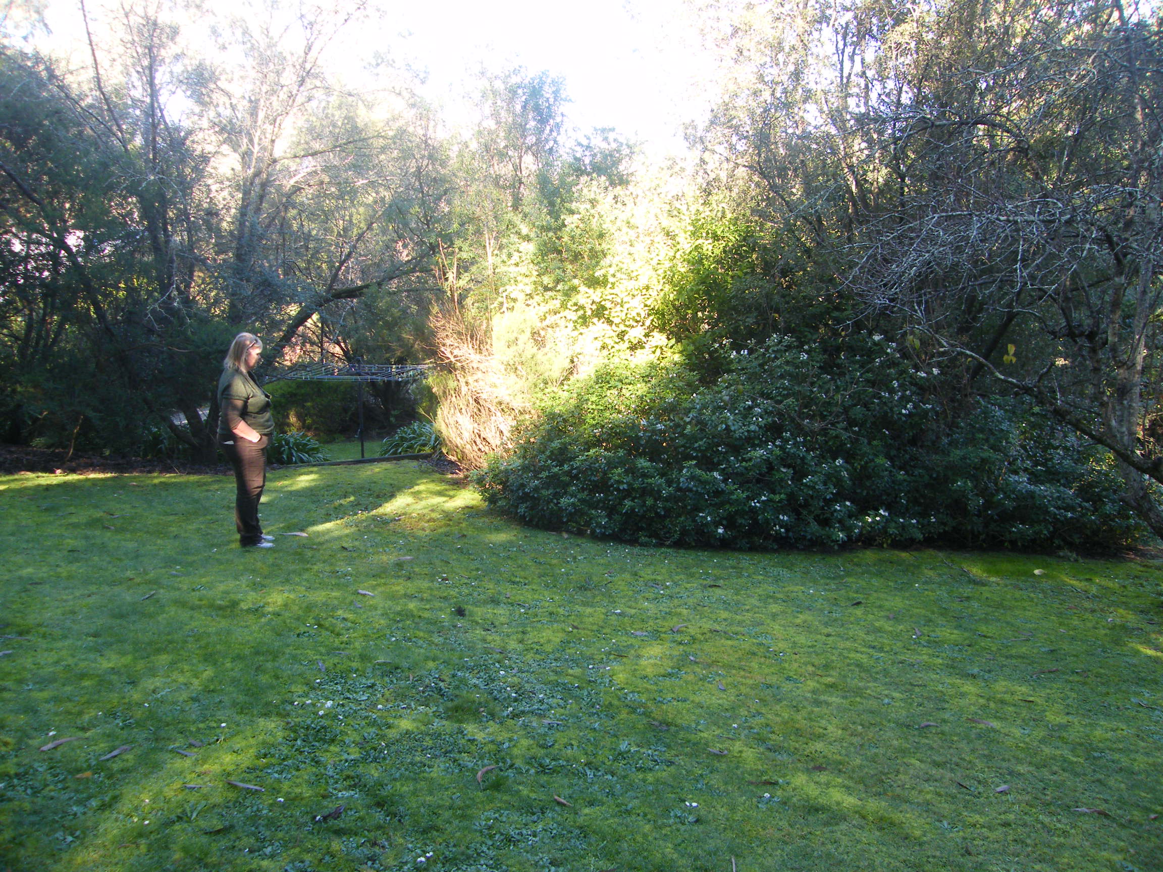 Very first picture in 2012 - up the back sort of where the Birch Forest is.