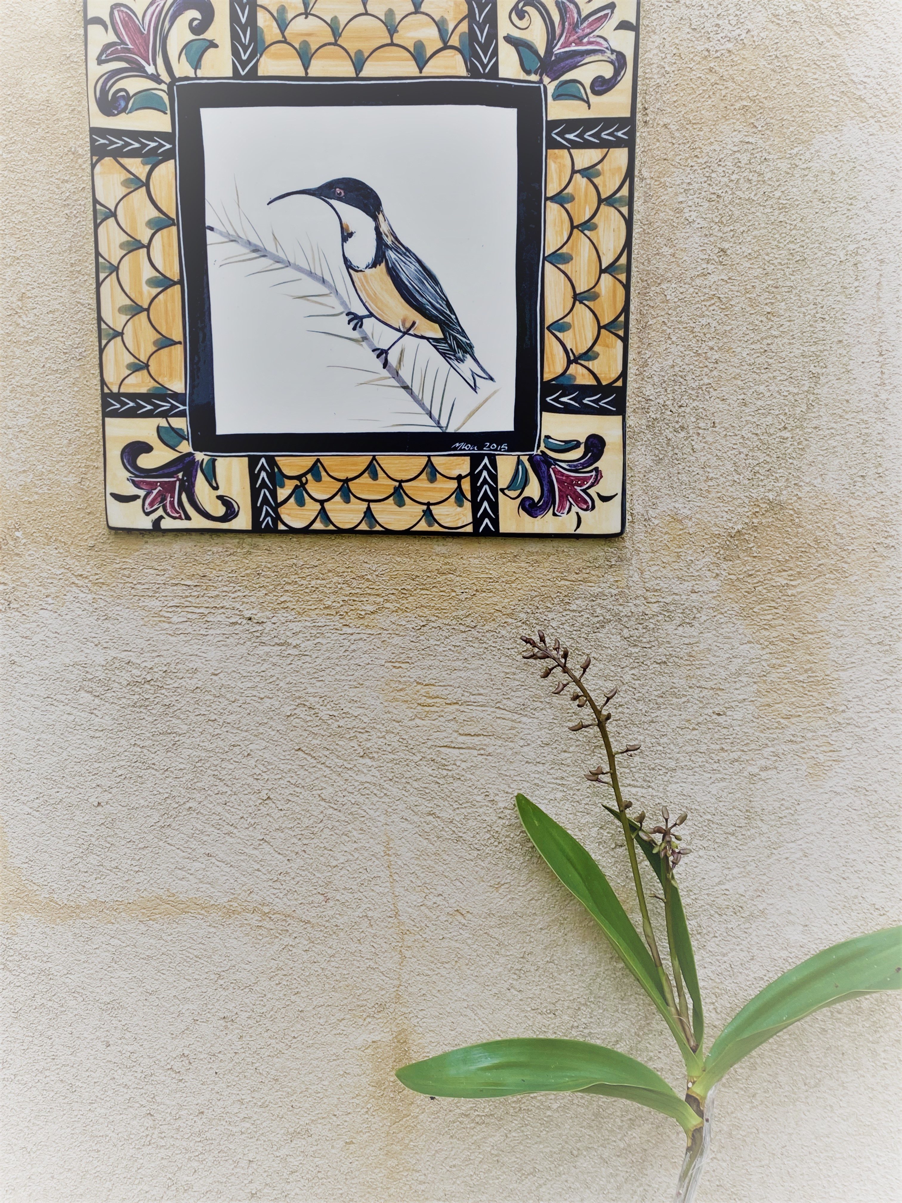 Native Orchid Flower Spikes with Tile