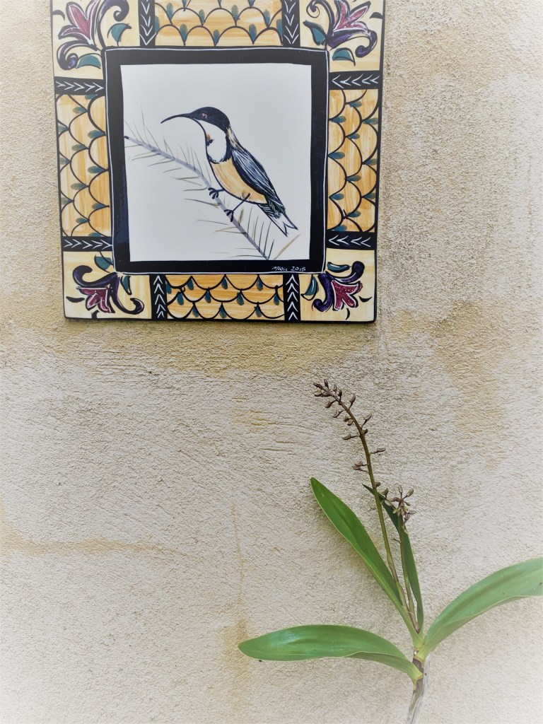 Native Orchid Flower Spikes with Tile