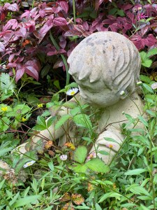 Statue and Loropetalum