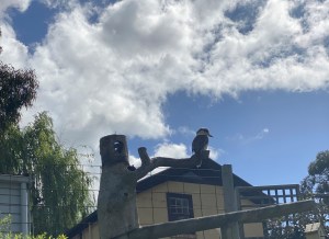 Kookaburra on the Post