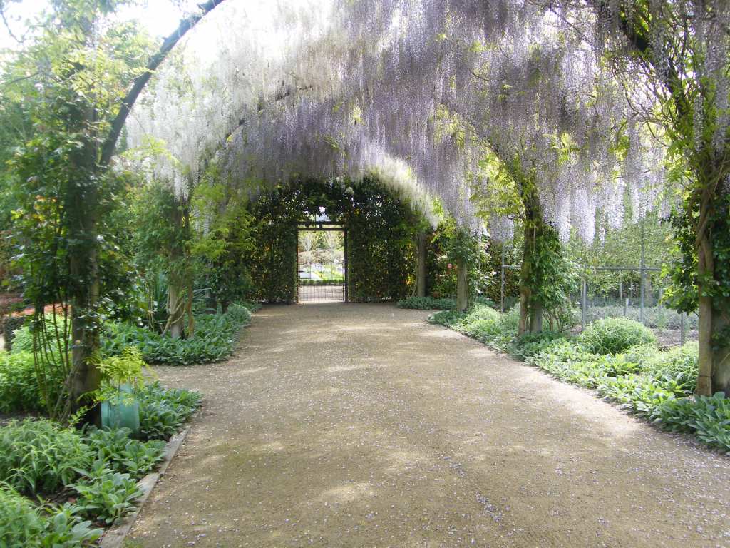 Alowyn Gardens 2012 – Revisited&nbsp;2024