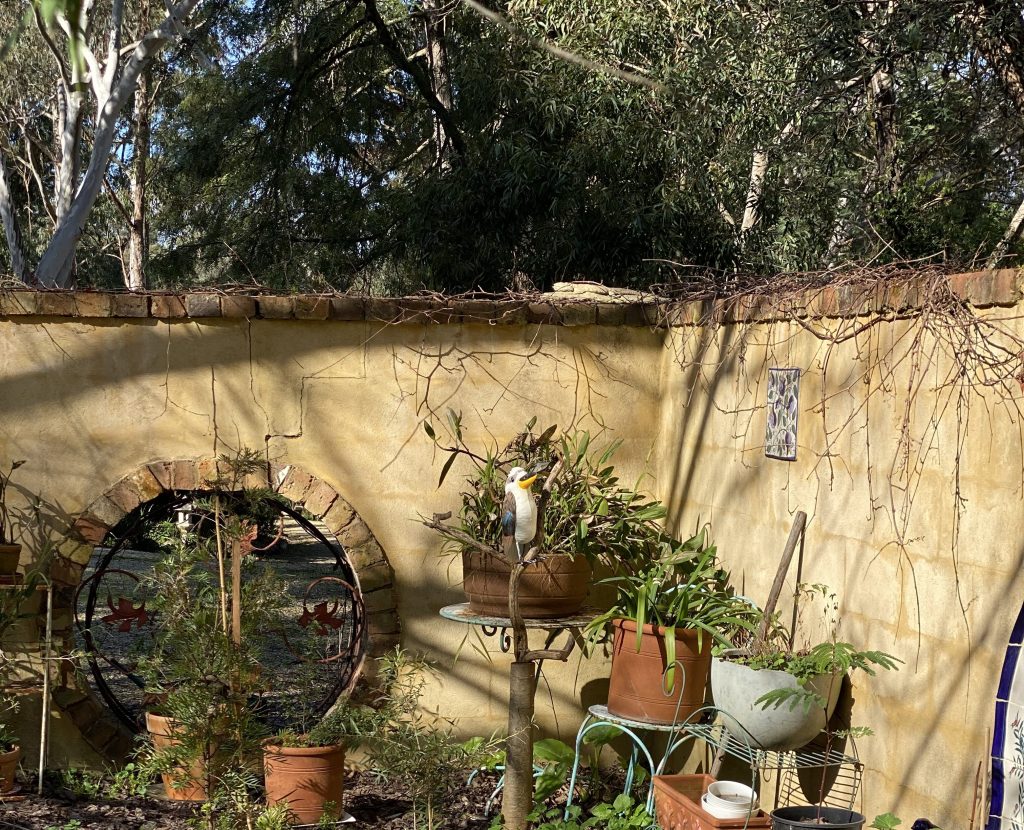 Secret Garden - Native Orchids