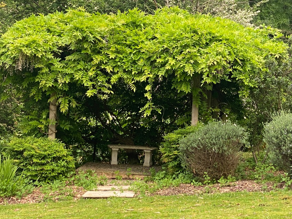 Wisteria Colonnade