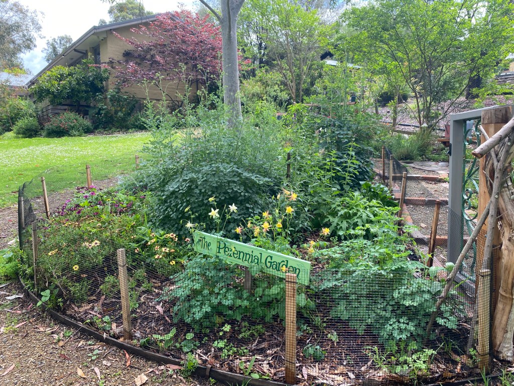 Perennial Garden with rabbit proof fence