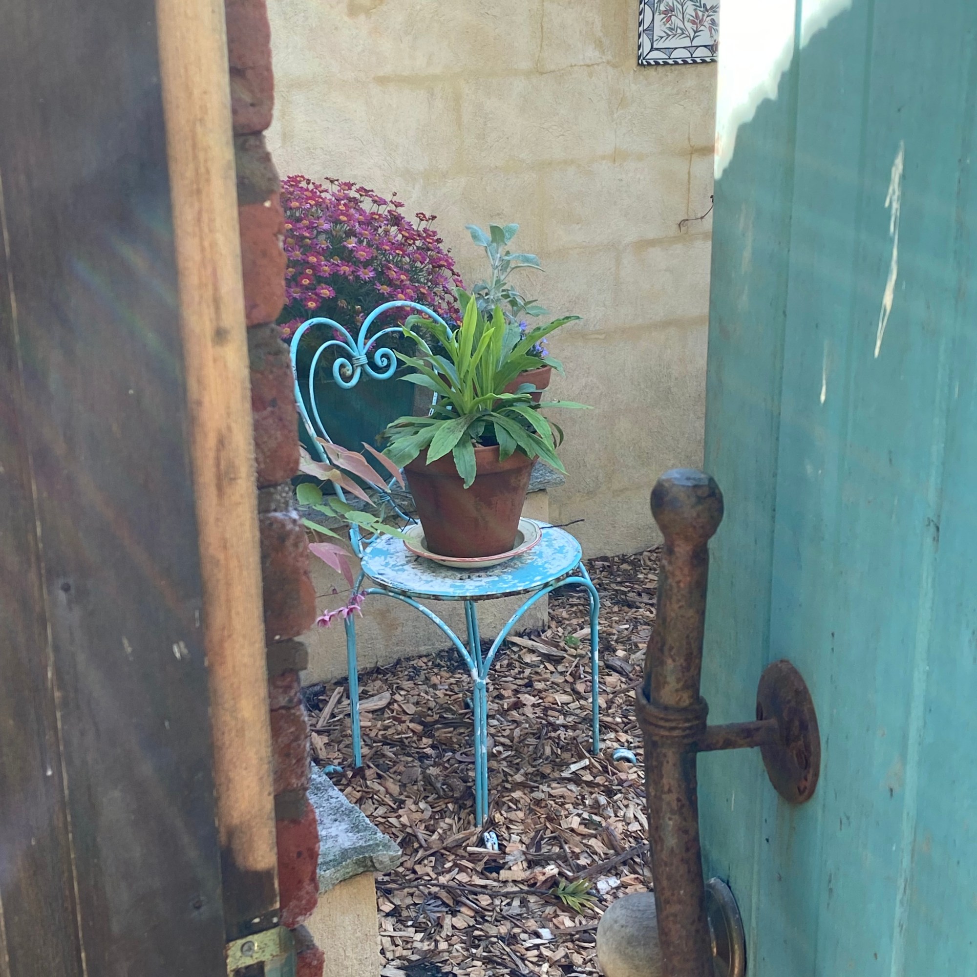 Secret Garden Peeping