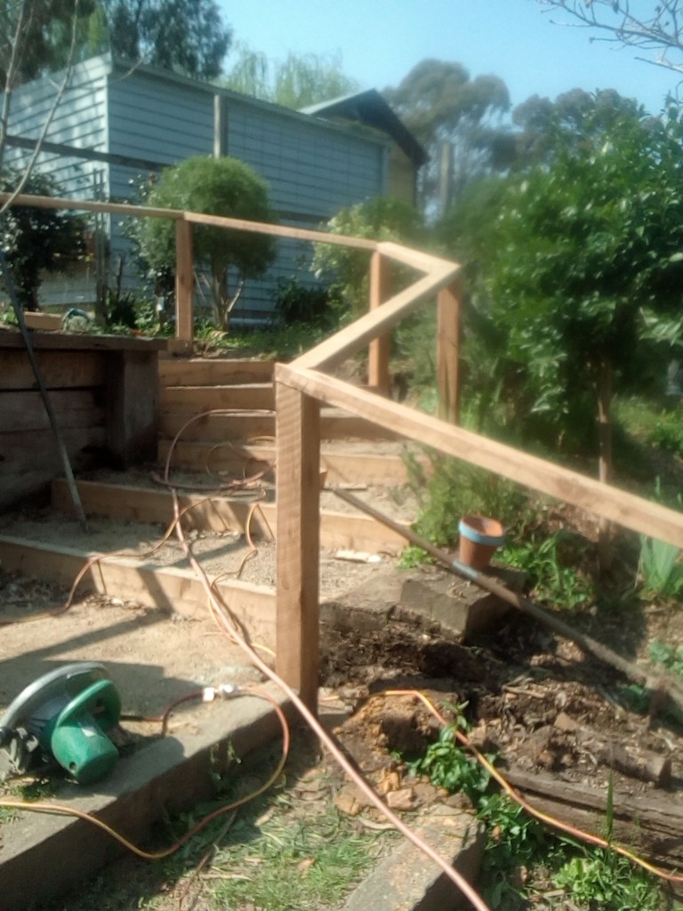 Up to the chookyard Early Days