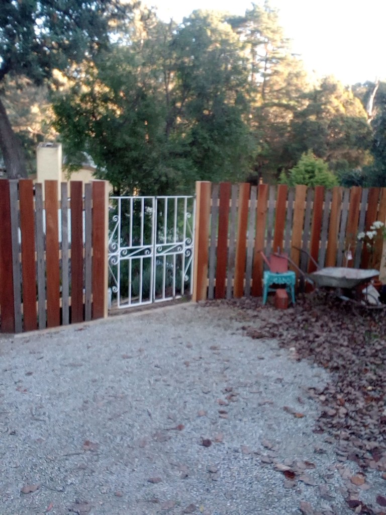 Woodland Fence Early Days