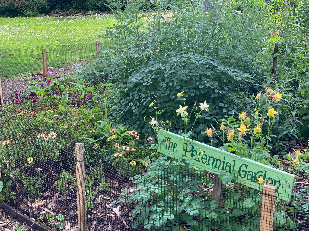 Perennial Garden 2024 with sign