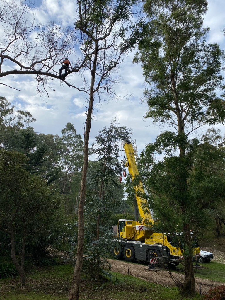 Yellow Box IronBark Trim - Getting Started