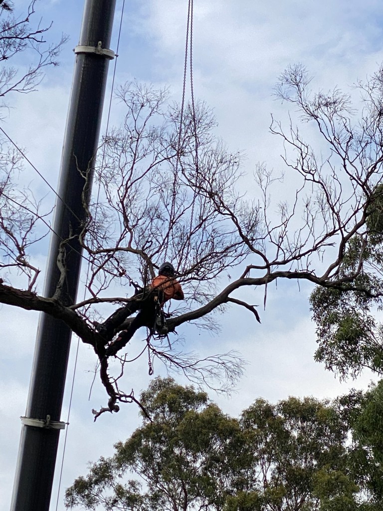 Yellow Box IronBark Trim - Attatching in mid air
