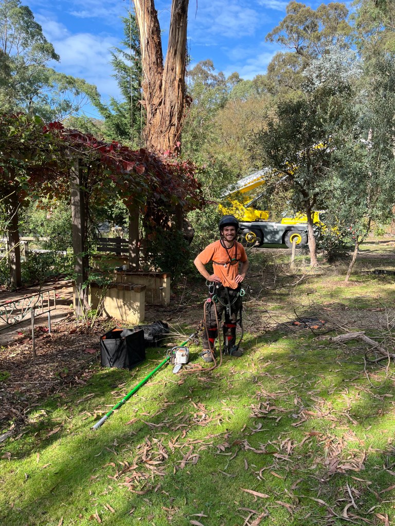 Yellow Box IronBark Trim - Hero of the day